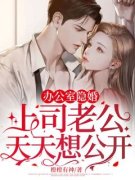 办公室隐婚：上司老公天天想公开小说(完结版)-时诺霍启琛在线阅读