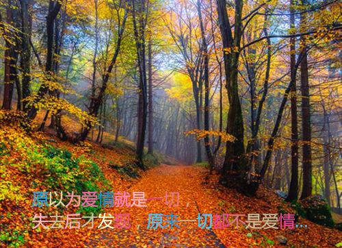 夏央央顾祁琛小说（夏央央顾祁琛）无广告阅读_（夏央央顾祁琛）全文免费阅读无弹窗大结局_笔趣阁（夏央央顾祁琛）