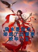 我本是奴才，却成了正妻享荣华一生小说(完本)-温姝季延安无错版阅读