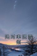 陆时聿阮雪倾小说-阮雪倾陆时聿全篇阅读