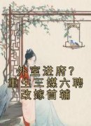 苏清妤沈昭全本小说 《外室进府？重生三媒六聘改嫁首辅》全文免费在线阅读