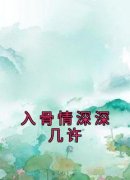 入骨情深深几许小说(完结)-苏怀洛沈霖琛章节阅读