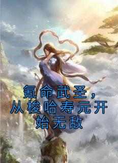 《氪命武圣，从梭哈寿元开始无敌》小说免费阅读 陆远江暮雪大结局完整版