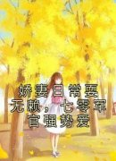 《娇妻日常耍无赖，七零军官强势爱》（唐宁宋家宝）精彩小说目录阅读