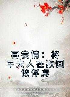 再尝情：将军夫人在敌国做俘虏(新书)小说_姜湄叶桓阅读