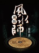 《顶级风水师》杨晨沈金兰by葱花免费看