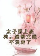 《太子爱上老鸨，满朝文武不淡定了》小说江清宁苏扶闻最新章节阅读