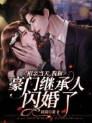 相亲当天，我和豪门继承人闪婚了小说(完结版)-夏安楚泽在线阅读