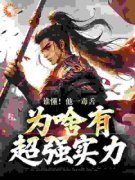 爆款小说《隋唐：只手挽天倾，我护大隋永昌》主角武信杨林全文在线完本阅读