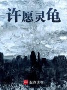 《许愿灵龟》小说免费阅读 王奇伊杨桃大结局完整版