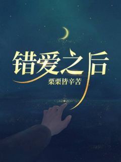 沈安宋婉林念小说<错爱之后>全文在线阅读