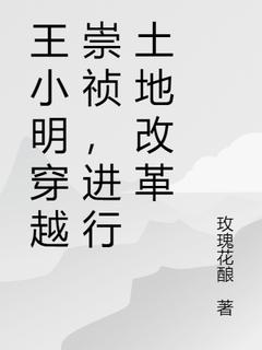 《王小明穿越崇祯，进行土地改革》最新章节免费阅读by玫瑰花酿无广告小说