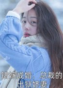 《和岳父跑路后，婆婆和妻子急疯了》崔如烟范思哲_(和岳父跑路后，婆婆和妻