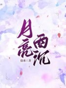 无弹窗小说月亮西沉 作者徐来