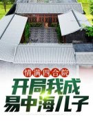 【新书】《情满四合院：开局我成易中海儿子》主角易平安桂花全文全章节小说