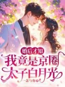 婚后才知，我竟是京圈太子白月光褚萤盛淮瑾大结局在线阅读