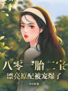 林雪桥连北主角的小说完结版《八零一胎二宝，漂亮原配被宠爆了》全集