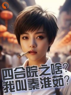 四合院之啥？我叫秦淮茹？秦淮茹贾东旭小说全文-四合院之啥？我叫秦淮茹？小说