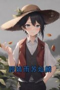 完整版《顾婧雨苏灿麟》顾婧雨苏灿麟小说免费在线阅读